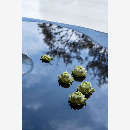 山畑俊樹が撮影した「:albumName」の写真