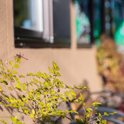 Sara Photo Worksが撮影したウェディングや家族、ビジネスの写真