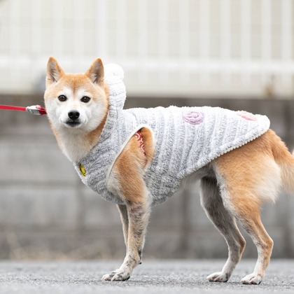 インスタントソイ合同会社　井上泰徳が撮影したウェディングや家族、ビジネスの写真