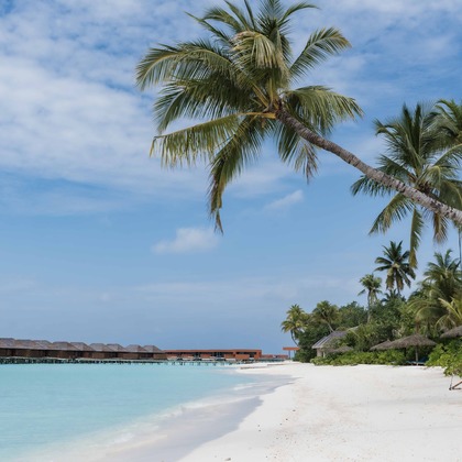 oryo studioが撮影した「:albumName」の写真