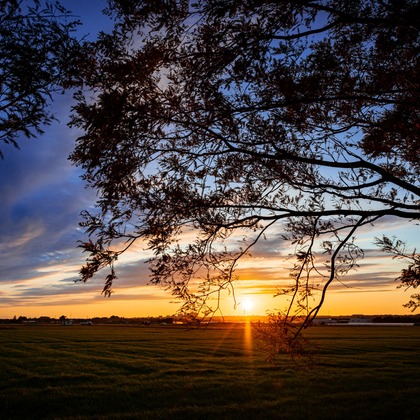 岡田　哲昇が撮影した「:albumName」の写真