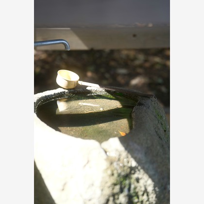 Tak Ogawa photographerが撮影したイベント/スナップ撮影の写真