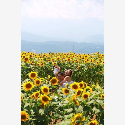 セリエドレッシングが撮影したウェディングや家族、ビジネスの写真