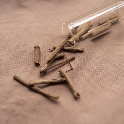 Hamuこども写真館が撮影した「:albumName」の写真