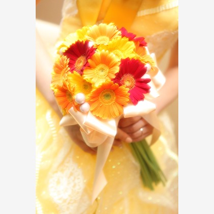 Kaoru Photographyが撮影したウェディングや家族、ビジネスの写真