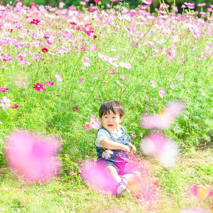 クリエイティブツリーが撮影した「:albumName」の写真