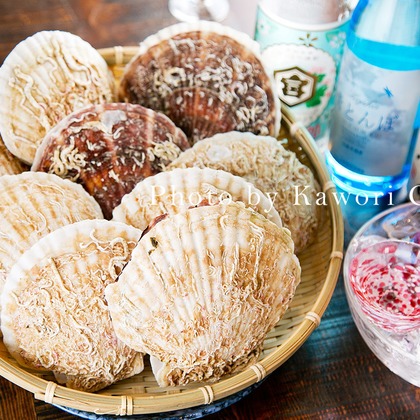 タカラモノ.foto　群馬の出張撮影カメラマンが撮影した「:albumName」の写真