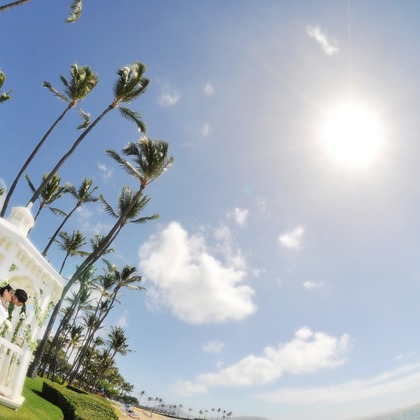 éclat photographyが撮影したウェディングや家族、ビジネスの写真