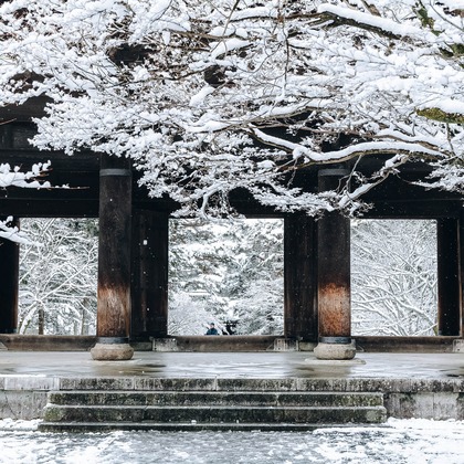 三谷 朋也が撮影した「:albumName」の写真