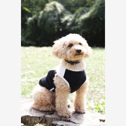 森安　照が撮影した「:albumName」の写真