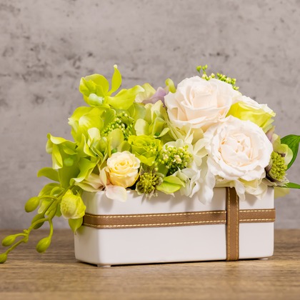 Minminが撮影した商品/物撮りの写真