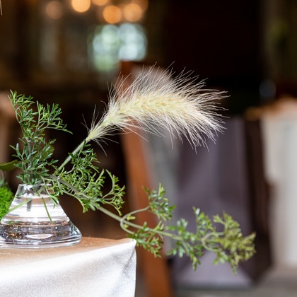 スタジオファンタスが撮影した「:albumName」の写真