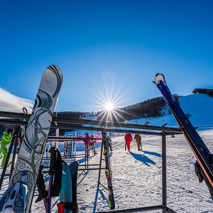 高木勇斗が撮影したその他の写真