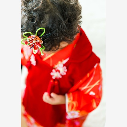 Nobuhiro Toyaが撮影した「:albumName」の写真