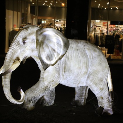 ＮＫ フォトエージェンシーが撮影したその他の写真