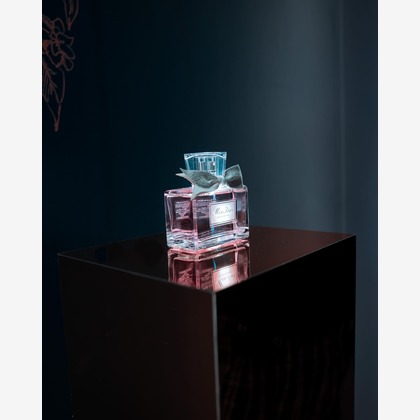 安部優吾が撮影した商品/物撮り/人物撮影の写真