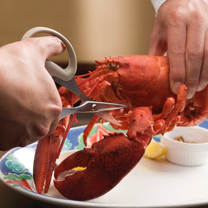 有限会社　澤田スタジオが撮影した「:albumName」の写真