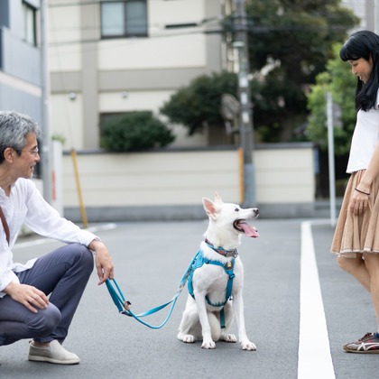 元木 ヒデが撮影した家族写真の出張撮影の写真