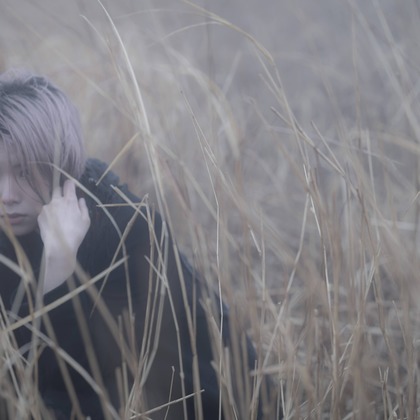 ならもとかずやが撮影した「:albumName」の写真