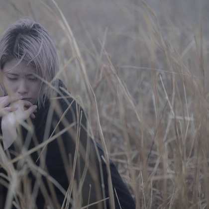 ならもとかずやが撮影した「:albumName」の写真