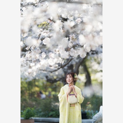 山口　竜が撮影したその他/成人式撮影の写真