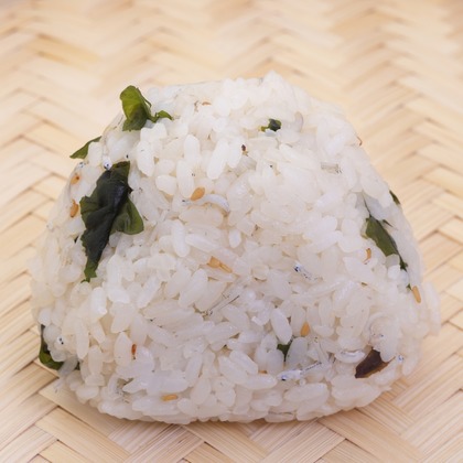 森安　照が撮影した「:albumName」の写真