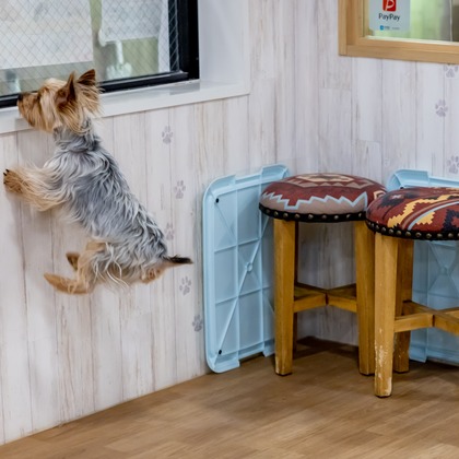 沖山俊樹が撮影した「:albumName」の写真