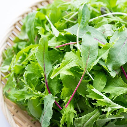 出張撮影TLaboが撮影した店舗/オフィス/サロン撮影/商品/物撮りの写真