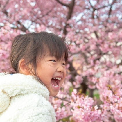 ゆのみふぉとが出張撮影した自然の中の人々, 手をつないで, 友情などが写った「桜とお写真」の家族写真