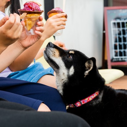 DESIGN STUDIO EEが撮影した「:albumName」の写真