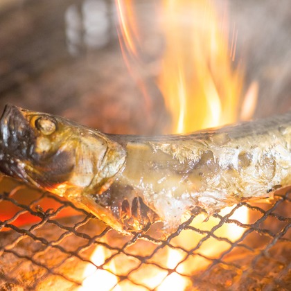 写楽堂が撮影した料理撮影の写真