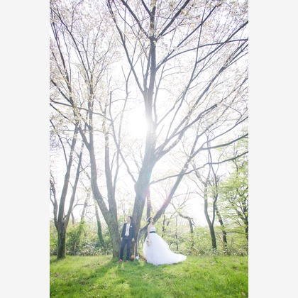 skyward photo film（竹本飛鳥）が撮影したウェディングや家族、ビジネスの写真