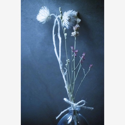 Photo of Bridal @ Hotel, Shrine taken by A&Y写真OFFICE