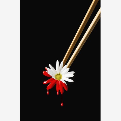 スタジオ11が撮影した「:albumName」の写真