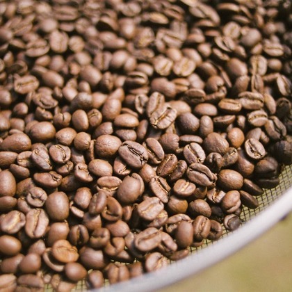 ワイヤリングが撮影した店舗/オフィス/サロン撮影/料理撮影の写真