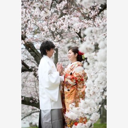 KIKIウェディングが撮影した「:albumName」の写真