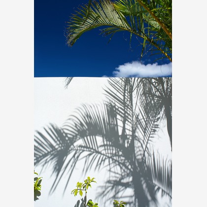 難波卓美が撮影したイベント/スナップ撮影の写真