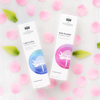 なかがわさとみが撮影した「:albumName」の写真