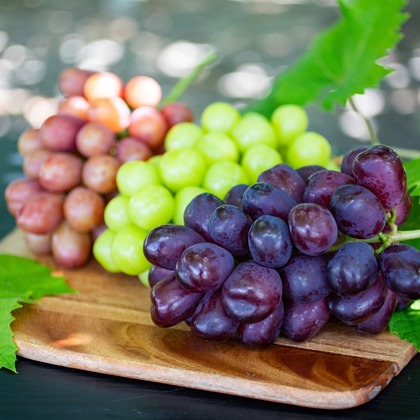 大森美紗生が撮影した店舗/オフィス/サロン撮影/商品/物撮りの写真