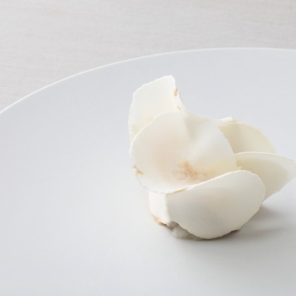 森安　照が撮影した「:albumName」の写真