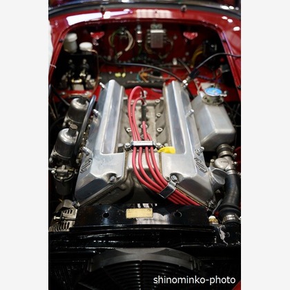 しのみんこフォトが撮影した店舗/オフィス/サロン撮影の写真