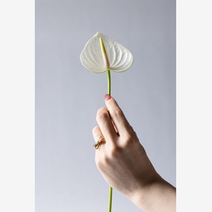 株式会社Def.proが撮影した商品/物撮り/人物撮影の写真