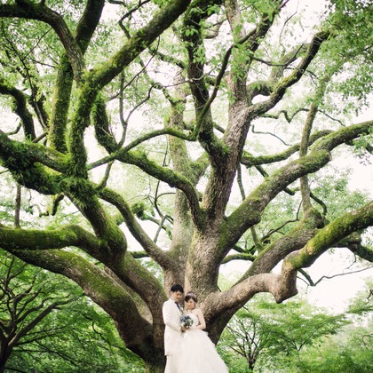 elle pupaが撮影した「:albumName」の写真