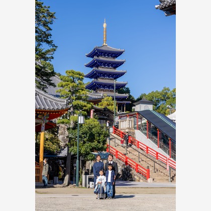 クリエイティブツリーが撮影した「:albumName」の写真