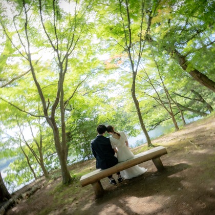 鈴木美咲が撮影した「:albumName」の写真