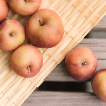 Aurora Photographyが撮影した「:albumName」の写真