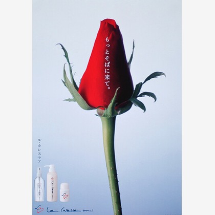 有限会社　澤田スタジオが撮影した「:albumName」の写真