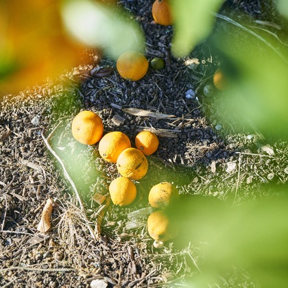 大橋裕紀が撮影したイベント/スナップ撮影/商品/物撮り/人物撮影の写真