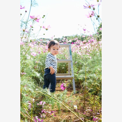 lino-'akaが撮影した「:albumName」の写真