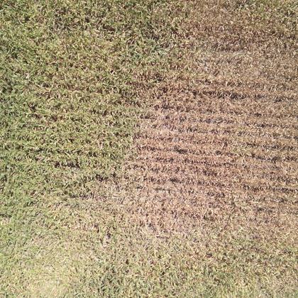 アナハイムエレクトロニクスが撮影したその他の写真